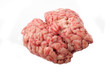 human brain isolated