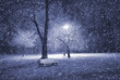 Winter park at night