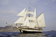 Segeltörn mit SV Florette Segeltörn mit SV Florette