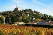 Vignes à Cairanne