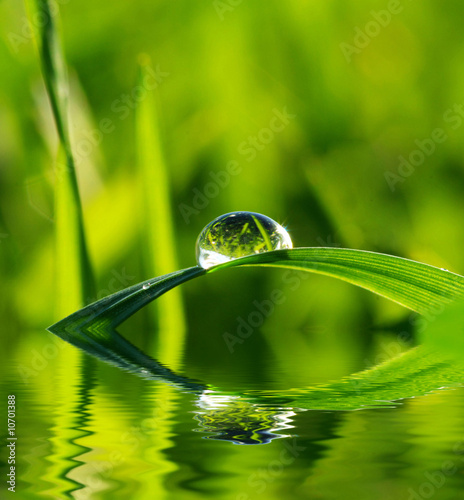 drop|10701388