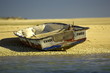 FISCHERBOOT AM RIA FORMOSA