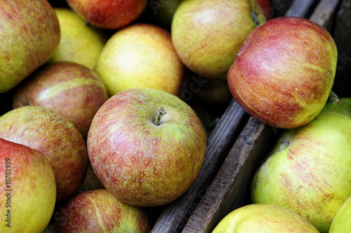 Photo: Organic Braeburn apples Organic Braeburn apples