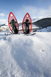 Raquette hiver