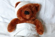 sick teddy with injury in bed sick teddy with injury in bed