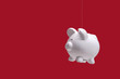 Pigs Fly