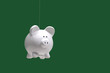 Pigs Fly