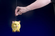 Piggy Bank suspended by wire