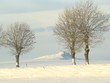 la Lozère sous la neige
