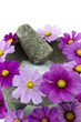 Calming Spa Flowers