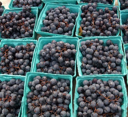 Photo: Boxes of Organic Deep Red Concord Grapes Boxes of Organic Deep Red Concord Grapes