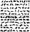 Vector: 100 cats 100 cats