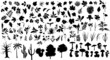 plants