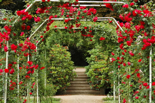 Rosengarten Rosengarten