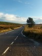 Route unique Route unique