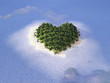 tropical paradise, wedding tour tropical paradise, wedding tour