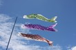 KOINOBURI-Drapeaux japonais