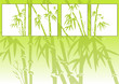 bamboo bamboo