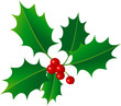 Holly berries Holly berries