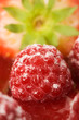 red juicy rasberry close up