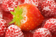 strawberry card