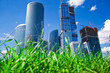 Skyscrapers and grass