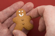 Christmas Cookie