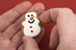 Christmas Cookie