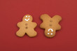 Christmas Cookie Christmas Cookie