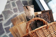 Foto: Brennholz Brennholz
