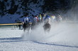 White Turf 6