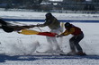 White Turf skikjöring 4