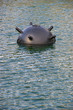 Sea mine