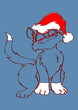 Illustration: Christmas cat Christmas cat