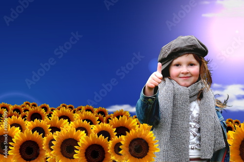 Sonnenblumenfeld