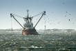 fishing ship