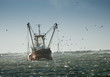 fishing ship