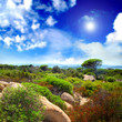 Mediterranean relaxing landscape