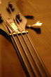 Bass Guitar