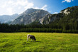 Alpenidylle