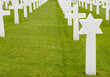 Graves of American soldiers Graves of American soldiers