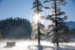 Wintertraum 3