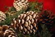 Christmas Potpouri