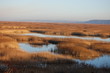 baie de seine