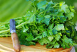 Green  parsley and knife.