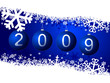 2009 new year