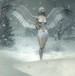 winter engel