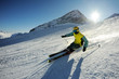 Skier Skier