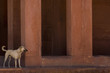 indien-05