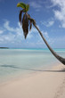 Tropical Beach